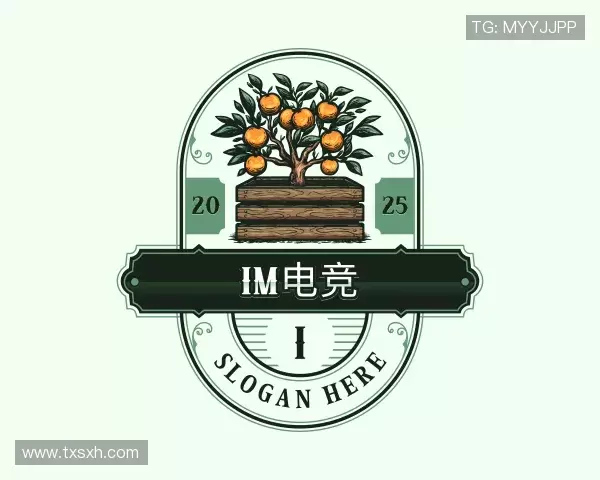 介绍im电竞