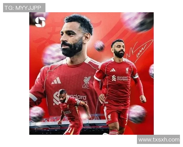 法国足球明星的辉煌成就与传奇故事揭示了他们在全球足坛的影响力与魅力