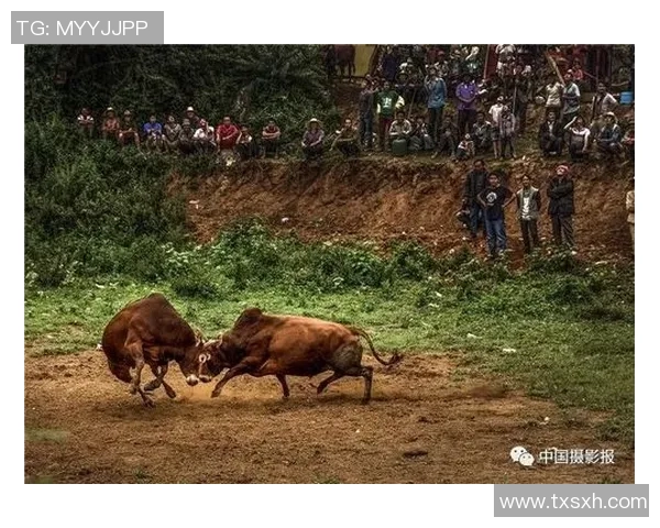 篮球明星转场视频揭秘他们背后的故事与精彩瞬间